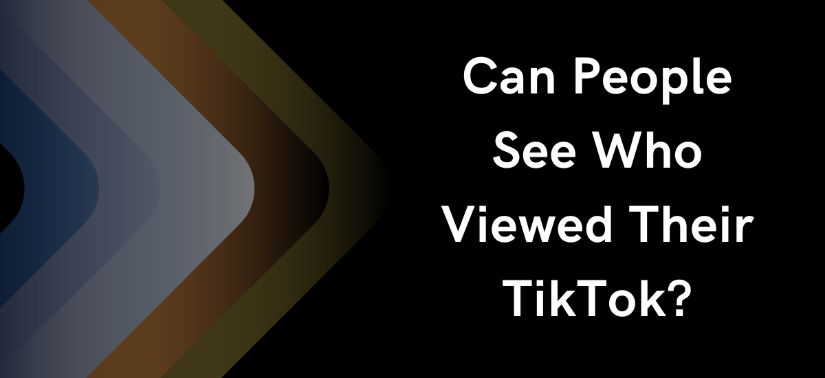 Can People See Who Viewed Their TikTok